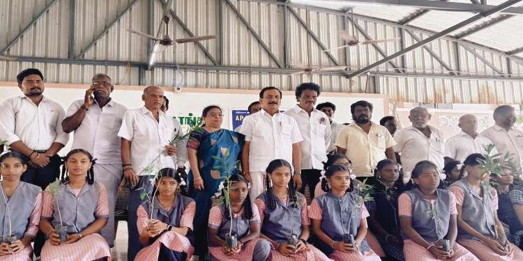 Saplings Distribution
